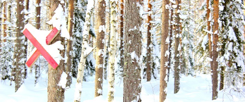 Vinter och sportlov i Piteå