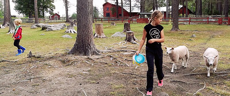 En uppskattad del i Granparken är Barnens zoo, där barn får möta djur som bor på gården.