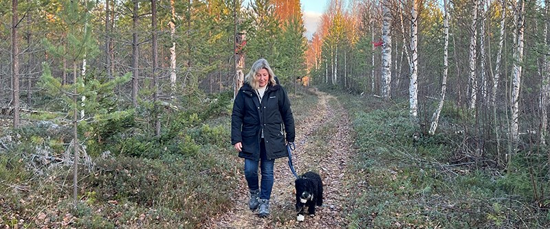 Piteå erbjuder många fina områden för hundpromenader.