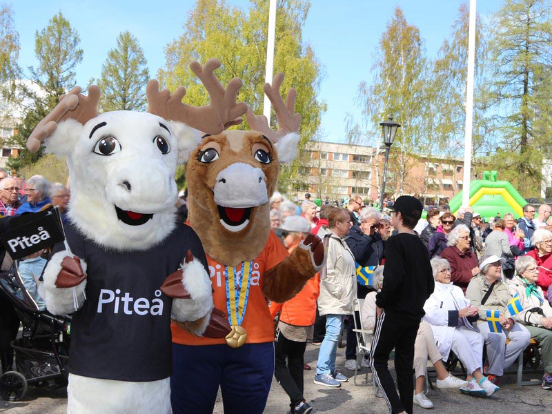 Piteå